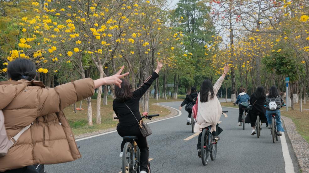 松湖春韻，巾幗綻風(fēng)華 —— 三八活力團(tuán)建行