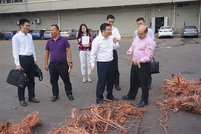 留住、引進高層次人才，市領導到我司支招