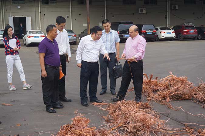 留住、引進高層次人才，市領導到我司支招